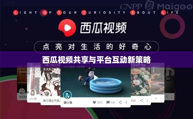 西瓜视频同步两个抖音，内容共享与平台互动的新策略