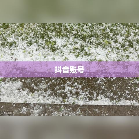 抖音账号与抖音火山版的关联可能性探讨
