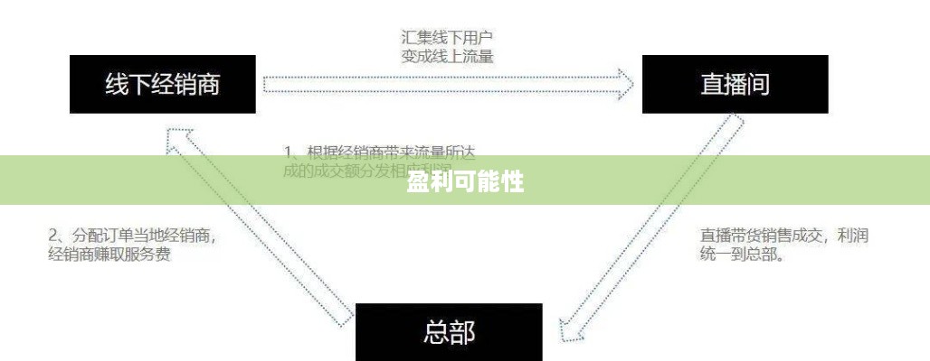 抖音雇人直播赚钱吗，探究雇佣直播模式的盈利可能性