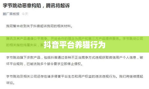 抖音平台上的养猫行为是否违规？解读与探讨