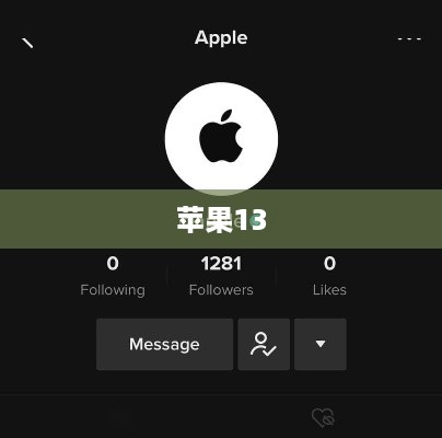 苹果13可以同时登录两个抖音账号吗？探究与解析