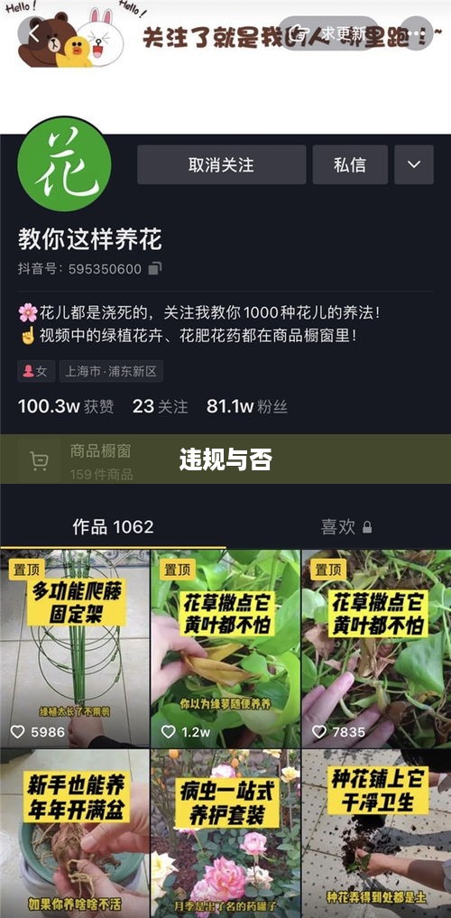 抖音卖明信片是否违规，一个深入探究