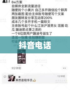 揭秘抖音电话，关于号码950511的真相探寻