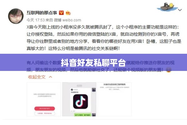 抖音好友私聊平台是否会下架，理解与探讨