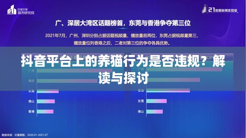 抖音平台上的养猫行为是否违规？解读与探讨