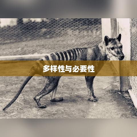 看抖音一定要配音吗？探讨抖音视频配音的多样性与必要性