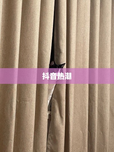 抖音上的躲猫猫热潮，一场全民参与的欢乐游戏
