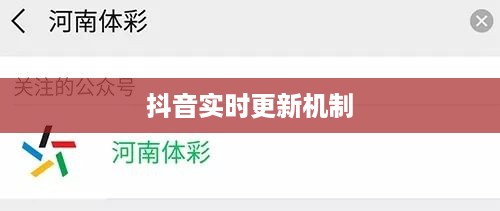 抖音喜欢实时更新吗？探究抖音的实时更新机制及其用户喜好