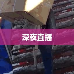 抖音直播，能否在深夜持续直播不睡觉？