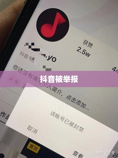 抖音被举报后抖音是否还能正常使用？一篇文章解读所有疑虑