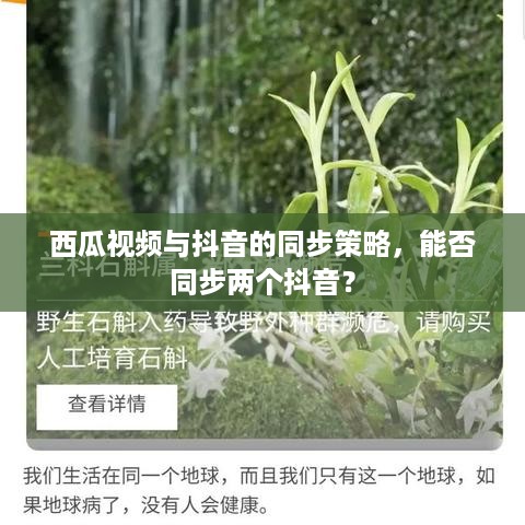 西瓜视频与抖音的同步策略，能否同步两个抖音？