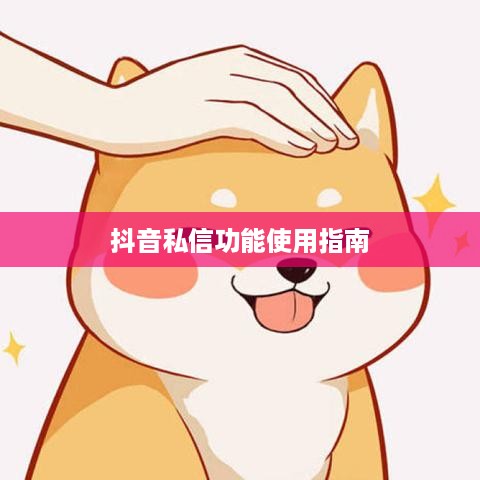 抖音私信功能的使用指南，是否可以每天私信及注意事项