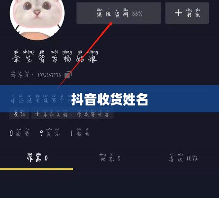 抖音收货姓名是否需要写抖音昵称？解析与探讨