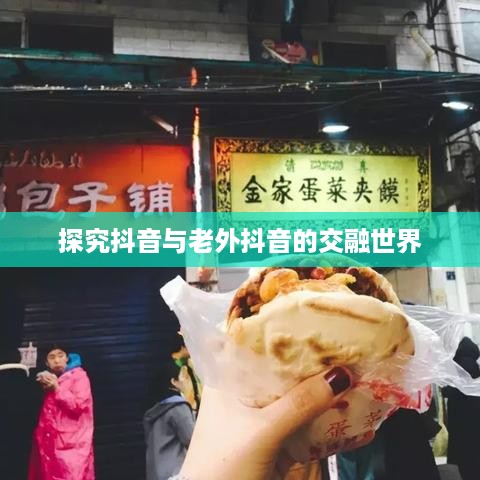 探究抖音与老外抖音的交融世界