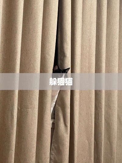 抖音上的躲猫猫热潮，一场全民参与的欢乐游戏