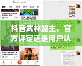 抖音武林盟主，官方评定还是用户认可?