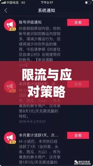 抖音号解禁后是否会被限流，解析与应对策略