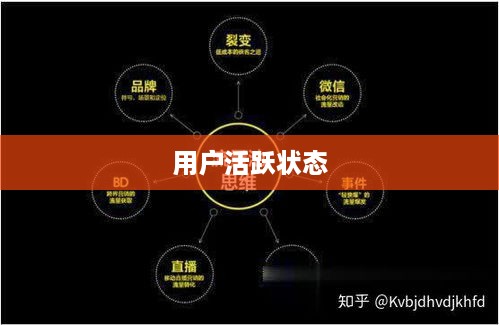 抖音活跃状态会影响流量吗？探究用户活跃状态与抖音流量的关系
