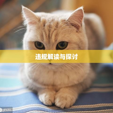 抖音平台上的养猫行为是否违规？解读与探讨
