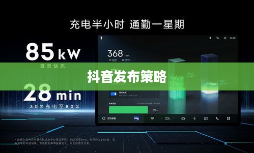 抖音发布后的推送持续性，关于发布内容在抖音上持续推送的探讨