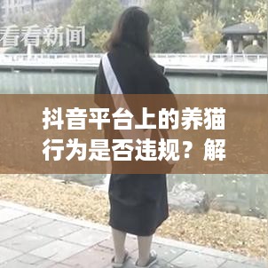 抖音平台上的养猫行为是否违规？解读与探讨