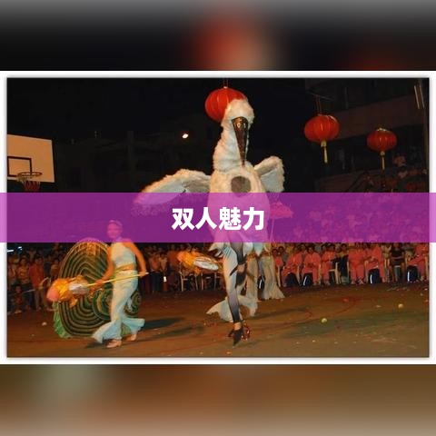 双人魅力，抖音短视频中的合作之美