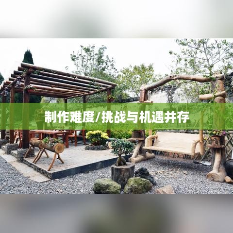 抖音App的制作难度，挑战与机遇并存