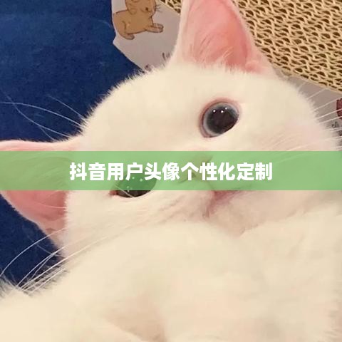 抖音用户头像的个性化定制与更换，轻松变换你的头像