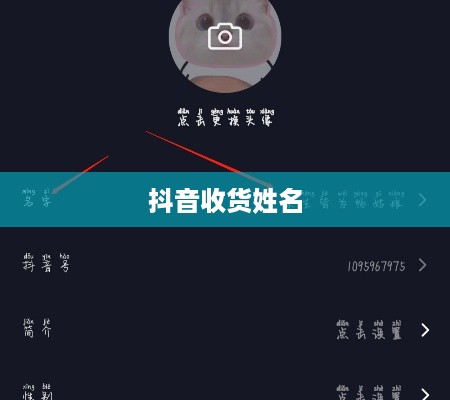 抖音收货姓名是否需要写抖音昵称？解析与探讨