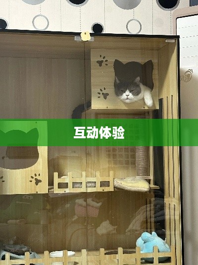 抖音上的躲猫猫热潮，一种全新的互动体验