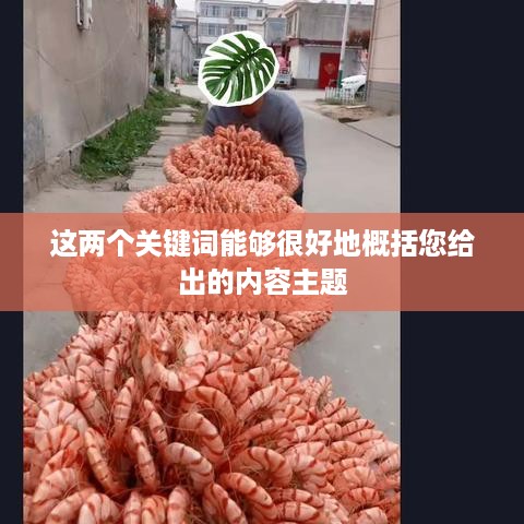 抖音App制作难度分析，从技术角度看是否难如登天？