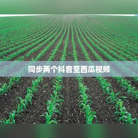 西瓜视频与抖音的同步策略，能否同步两个抖音至西瓜视频？
