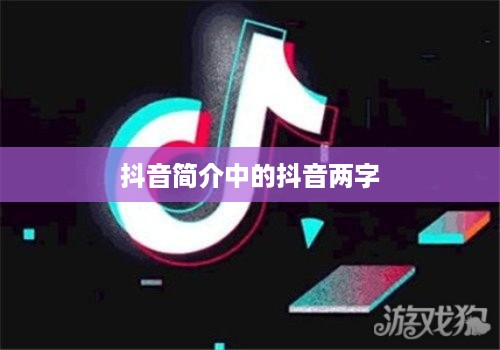 抖音简介中的抖音两字