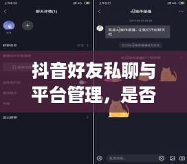 抖音好友私聊与平台管理，是否会引发下架风险？