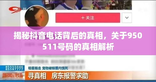揭秘抖音电话背后的真相，关于950511号码的真相解析