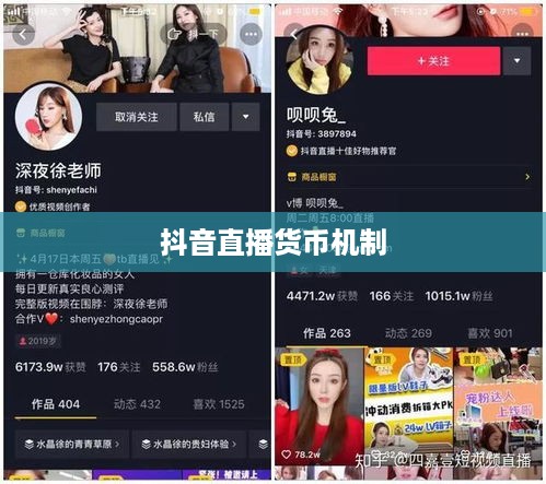 抖音直播间是否需要抖音币，深入探讨抖音直播的货币机制