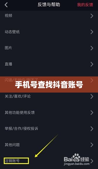 通过手机号查找抖音账号，可能性、方法及其注意事项