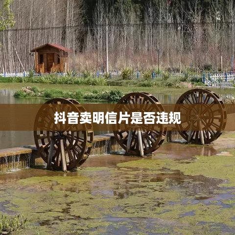 抖音卖明信片是否违规，法律与平台规则的解读