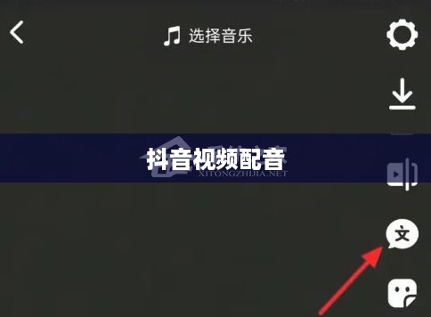 看抖音一定要配音吗？探讨抖音视频配音的多样性与必要性
