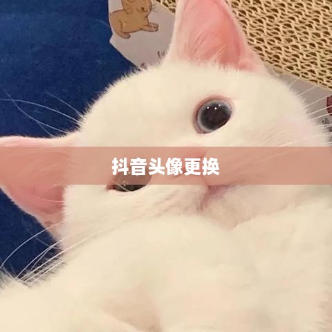 抖音可以变换头像吗？关于抖音头像更换的详细解析