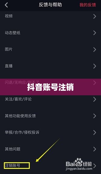 抖音账号注销后是否会自动退回？解析抖音账号注销流程与注意事项