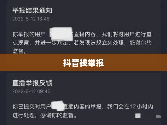 抖音被举报后抖音是否仍可使用，探究与解析
