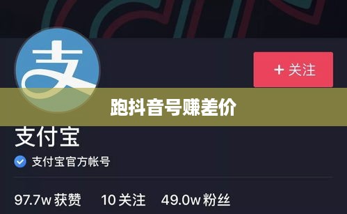 跑抖音号赚差价是否违法，深度解析与警示