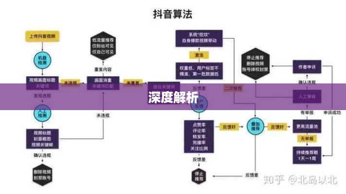抖音图文可以投抖吗？深度解析抖音图文投放策略