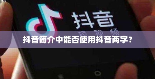 抖音简介中能否使用抖音两字？