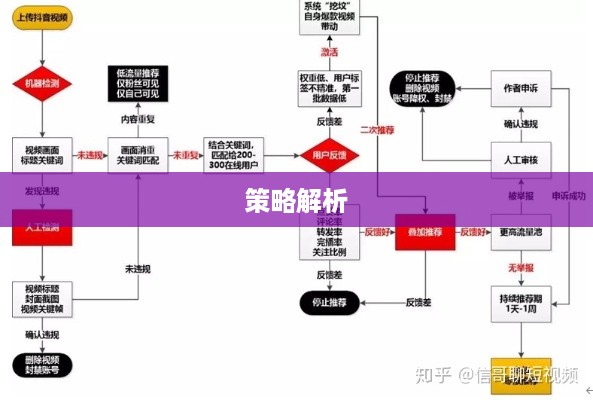 抖音动态可以变现吗？深度解析抖音变现路径与策略