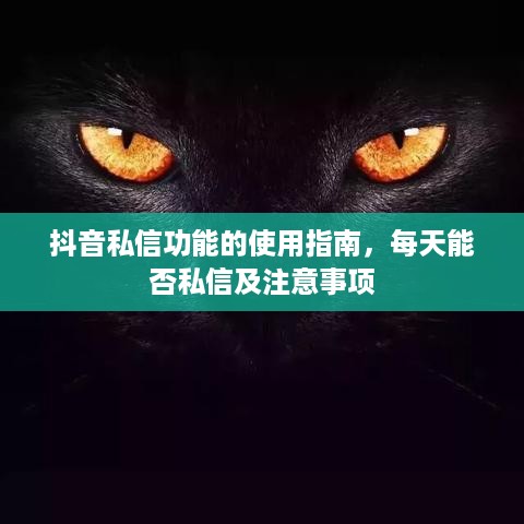 抖音私信功能的使用指南，每天能否私信及注意事项