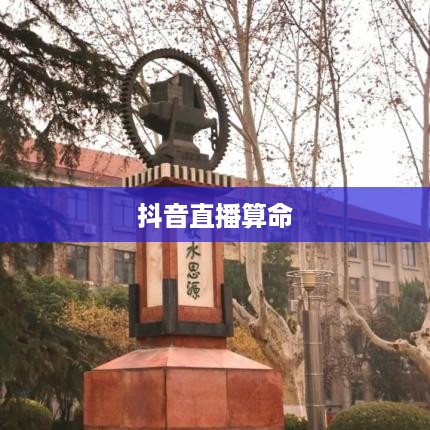 抖音直播算命，真实预测还是娱乐游戏？可以不算吗？