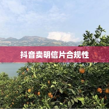 抖音卖明信片是否违规，法律与商业实践的交织
