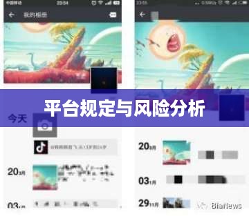 抖音好友私聊行为与平台规定，是否会引发平台下架的风险分析